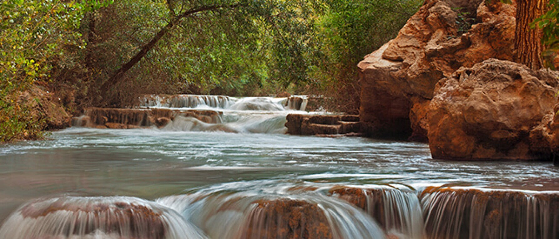 Healing Through Nature